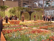 200801-Berti Geburtstag-Fruehling022